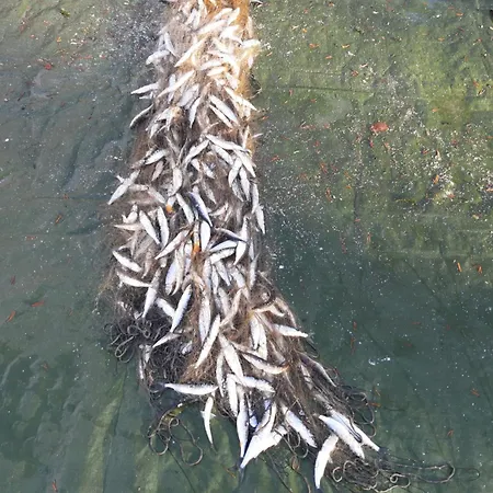 Ruka Vip, Premium Villa Rukatunturi