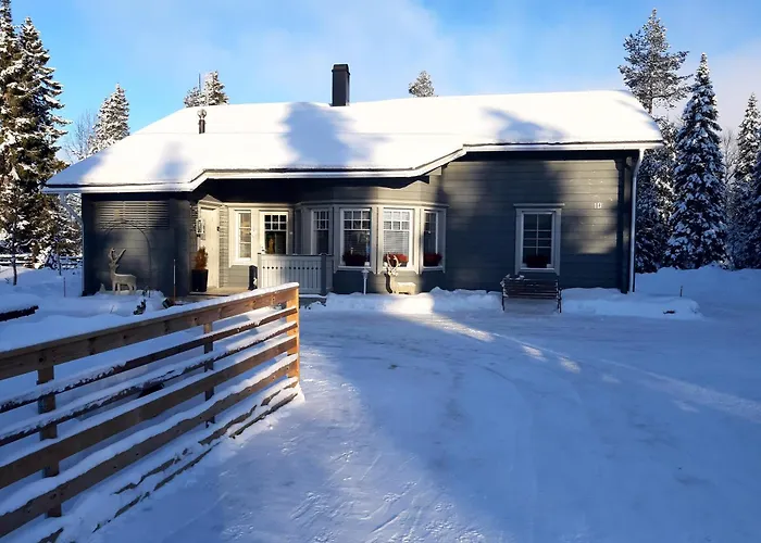 Βίλα Ruka Vip, Premium *